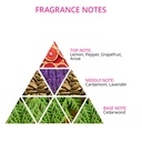 Jazz Night Eau de Cologne