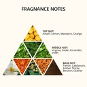 Shine Out Cream Cologne