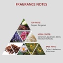 Shake & Rake Styling Powder